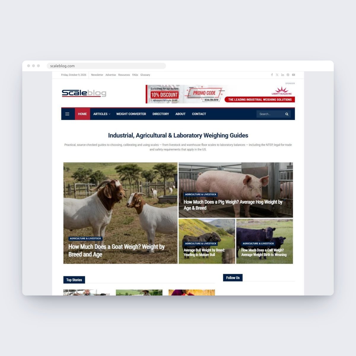 ScaleBlog WordPress website designed by Lushah Digital